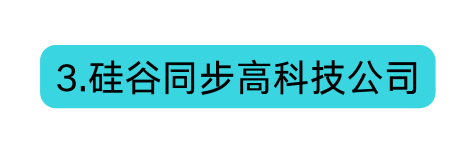 3 硅谷同步高科技公司