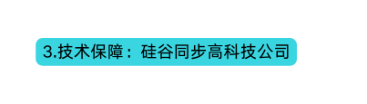 3 技术保障 硅谷同步高科技公司