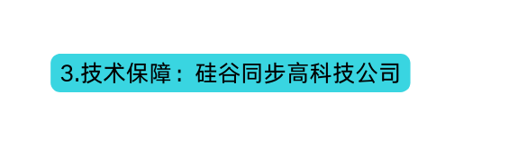 3 技术保障 硅谷同步高科技公司